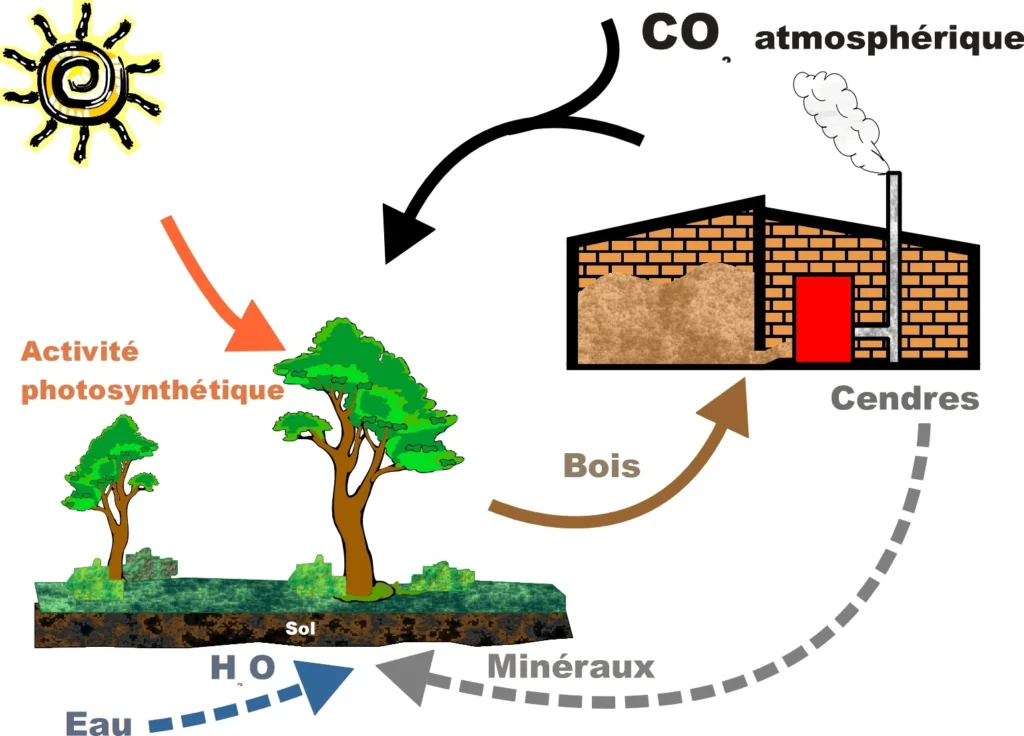 Utilisation de la biomasse dans la generation d'energie
