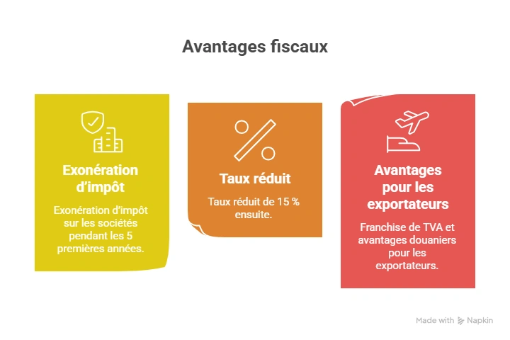 Avantages fiscaux et douaniers